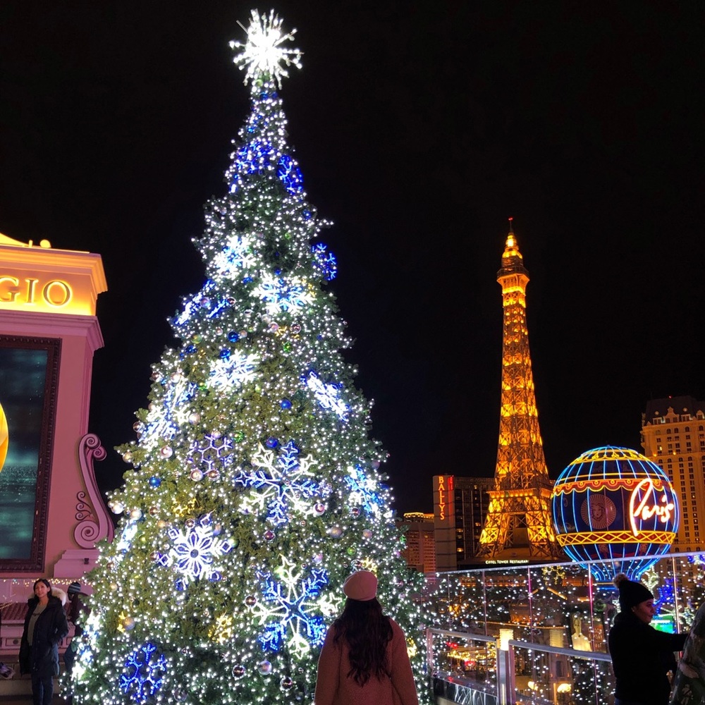 Meet your Posher, Sonja